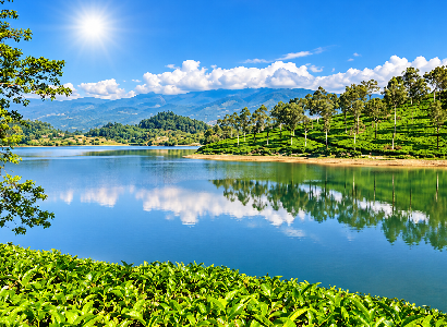 Munnar Tour